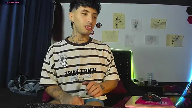 pol_mood webcam