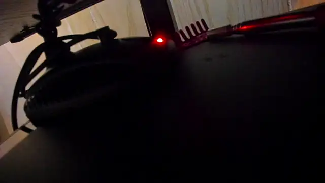 danidollxxx webcam
