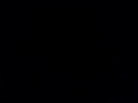 _Lizeth_ webcam