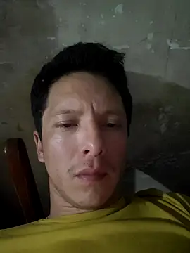 ab_fallenius webcam