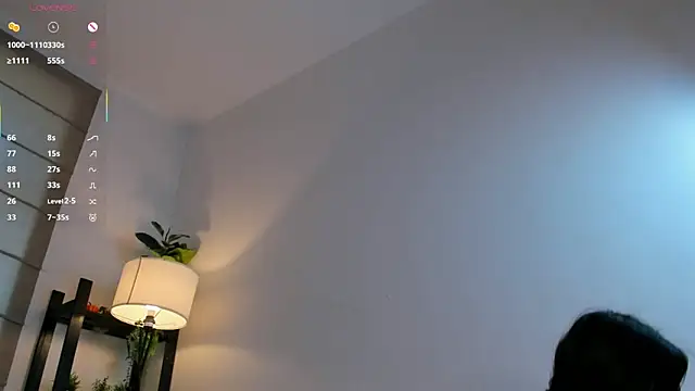 NoirImpulse webcam