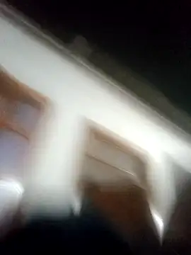 MeelFox webcam