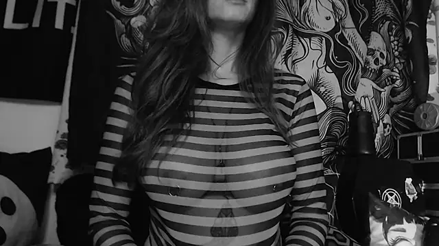 Silentmary webcam