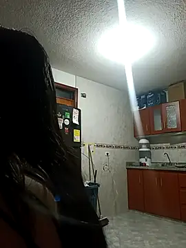 MeelFox webcam