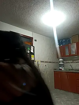 MeelFox webcam