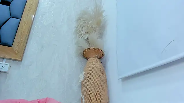crystal_sm webcam