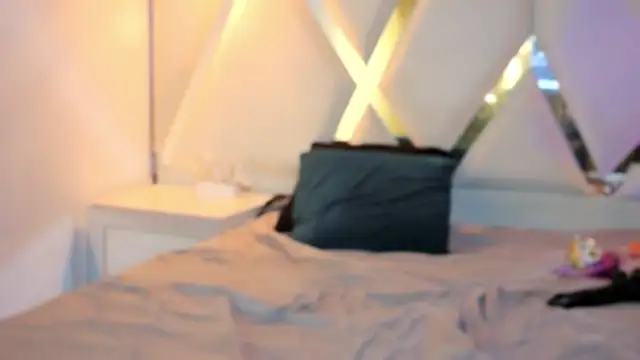 MeelFox webcam
