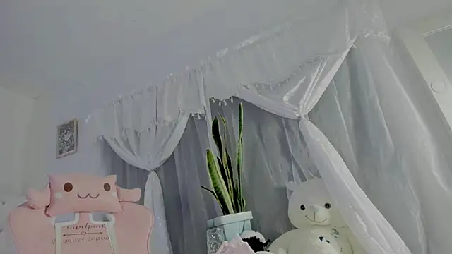 taylorr_swift webcam