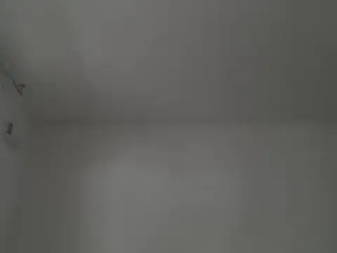 captainckring webcam