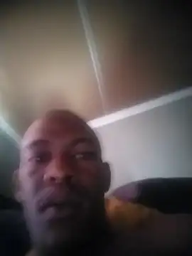 zuludog webcam