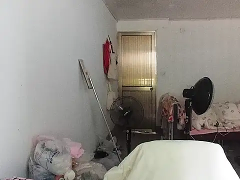 RebelAura webcam
