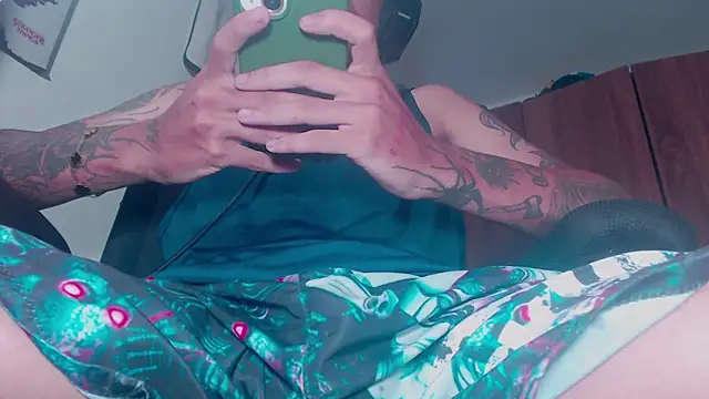 theskateboy webcam