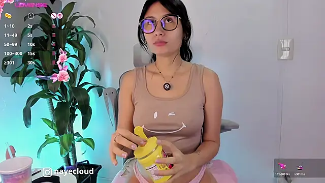 NayeCloud webcam