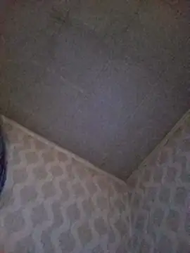 DiamondDaisy webcam