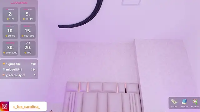 _carolina_fox webcam
