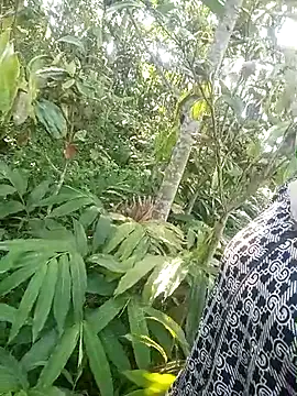 cutebobi webcam