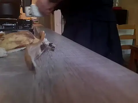 feathersify webcam