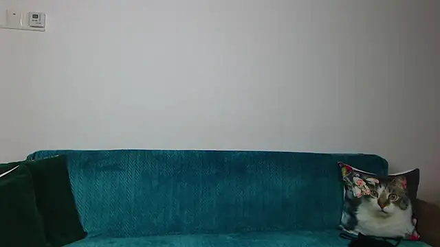 SaraDaisy webcam