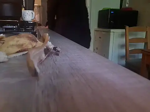 feathersify webcam