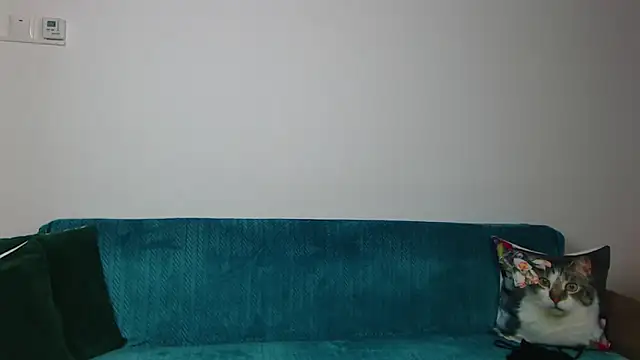 SaraDaisy webcam