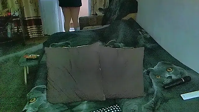 sex2 webcam