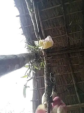 leona118 webcam