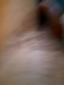EgyptianHorse webcam