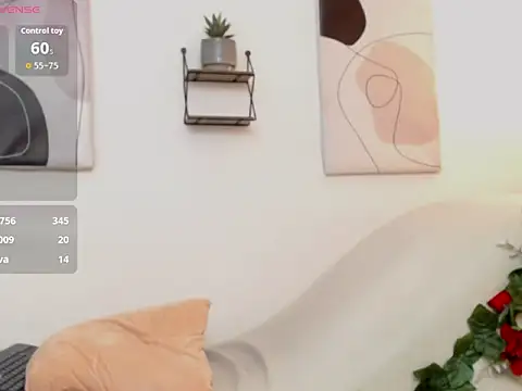 DoollFerrer webcam