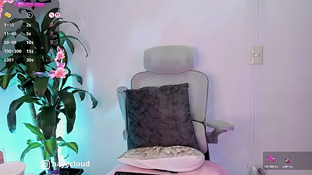 NayeCloud webcam