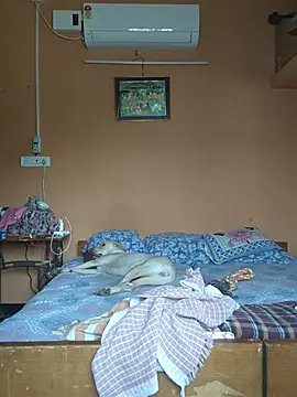 HotRod-India webcam