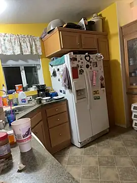 tsashelayamylynzy webcam