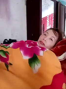Stella-456 webcam