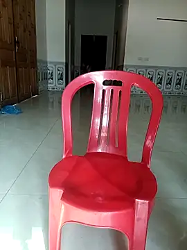 Hoa-tuylip