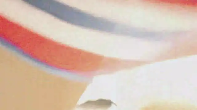 -Nats webcam