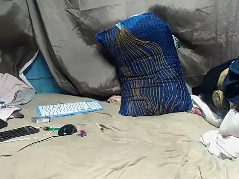 Camodick webcam