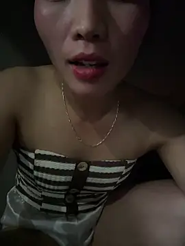 Yunzang webcam