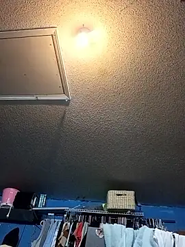 C8L3U webcam