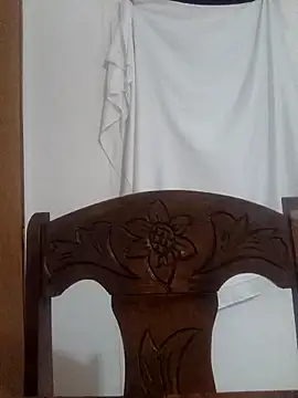 lapatronav2026 webcam