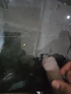 bigbuldgee webcam