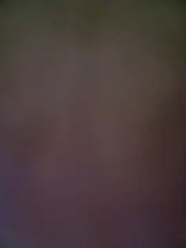 lelazer webcam