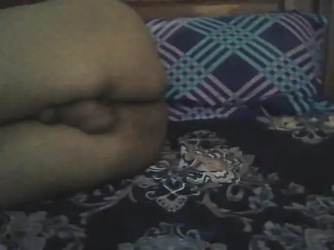Nuttysub webcam