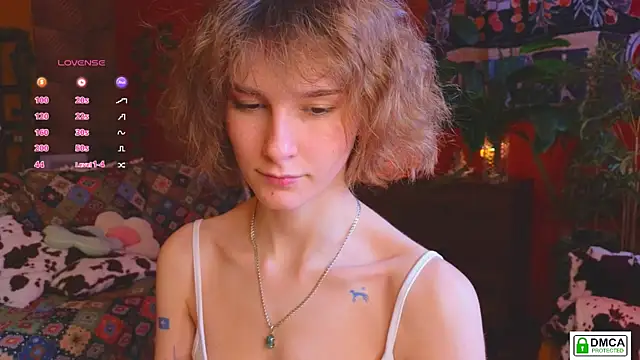 soft_animal_ webcam