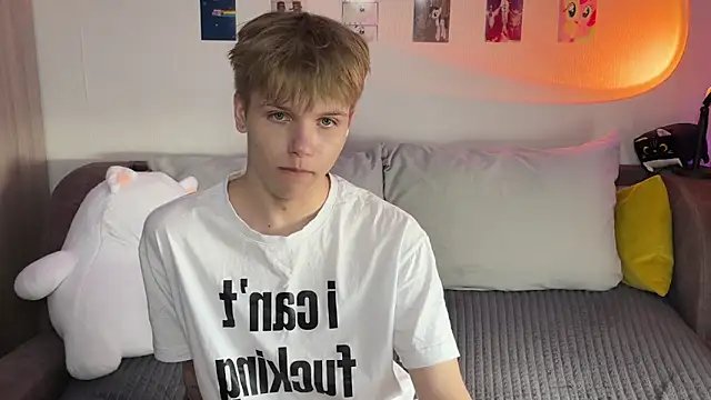 metarion webcam