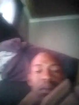 zuludog webcam
