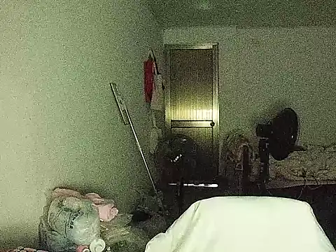 RebelAura webcam