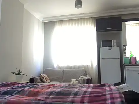 ALPHANDRE webcam