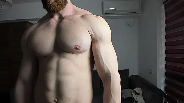 ZkkBlitz webcam