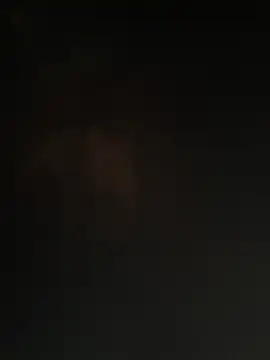 Lindan80 webcam
