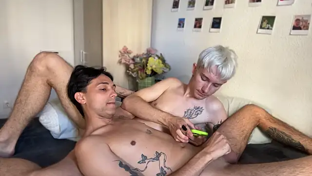 AlphaTwinks webcam