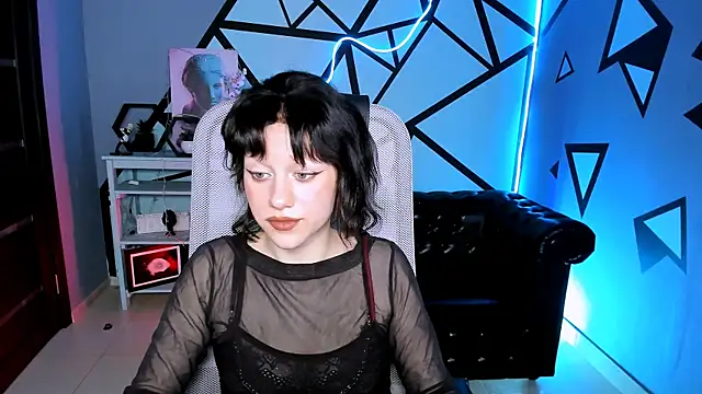 LidaDarknet webcam